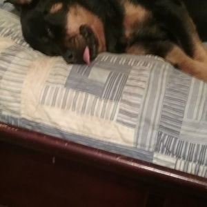 Meet your Posher, Eilene